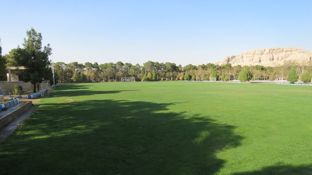 زمین چمن طبیعی