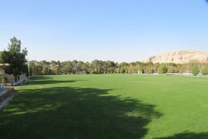 زمین چمن طبیعی
