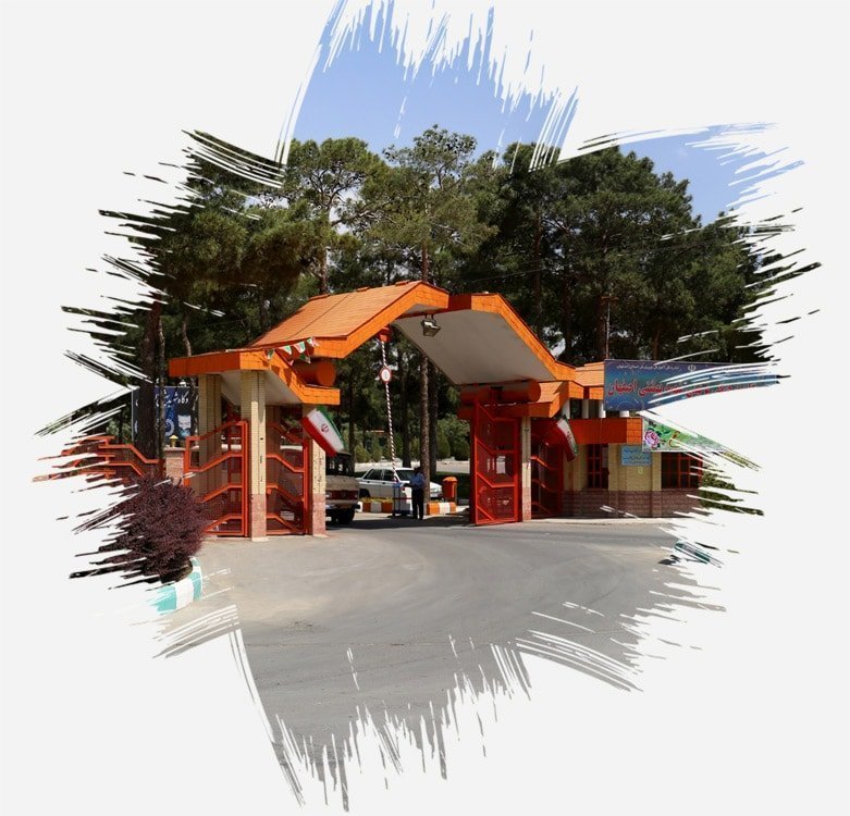 camp-images